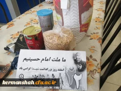 پویش بهار مهربانی (جمع آوری کمک های مومنانه و تهیه  بسته های معیشتی) 6