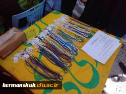 برپایی موکب شهدای تربیت معلم دانشگاه فرهنگیان کرمانشاه 8