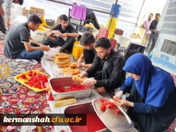 برپایی موکب شهدای تربیت معلم دانشگاه فرهنگیان کرمانشاه 15