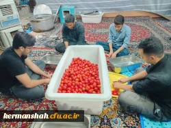 برپایی موکب شهدای تربیت معلم دانشگاه فرهنگیان کرمانشاه 16