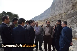 بازدید کارشناسان پژوهش و کتابداران دانشگاه فرهنگیان سراسر کشور از امکان دیدنی شهر کرمانشاه 3