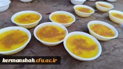 ایستگاه صلواتی به مناسبت ایام فاطمیه 6