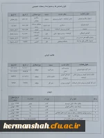 دکتر سلیمان محبی 3