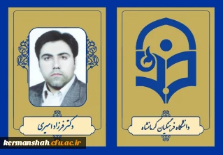 دکتر فرزاد امیری