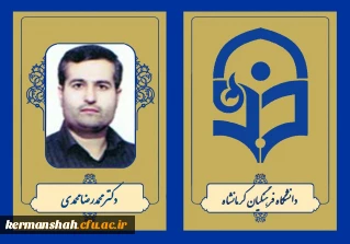 دکتر محمدرضا محمدی