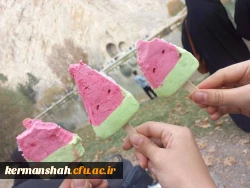  اردوی تفریحی_تشکیـلاتی دانشجویی(بازدید از طاقبستان و تکیه معاون الملک) 9