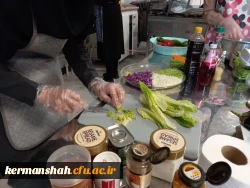 جشنواره غذای سالم 5