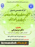 کارگاه تخصصی مدیریت امور بین الملل با عنوان 