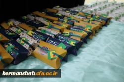 برگزاری جشن نیمه شعبان  4