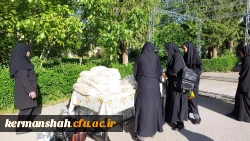 همایش پیاده روی و کوهپیمایی به مناسبت هفته سلامت  8