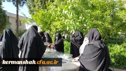 همایش پیاده روی و کوهپیمایی به مناسبت هفته سلامت  11