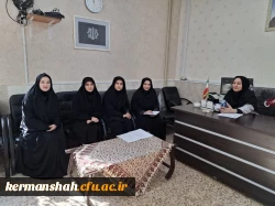 بازدید معاونت آموزشی، فرهنگی و پژوهشی پردیس شهید صدوقی از مدارس کارورزی 5