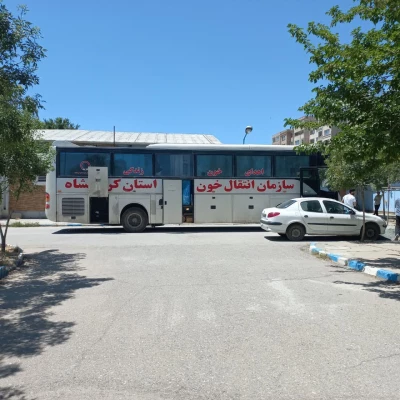 photo_2025-05-13_06-54-34