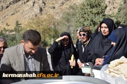 همایش پیاده روی و کوهپیمایی به مناسبت هفته تربیت بدنی 31