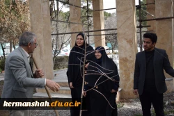 کاشت نهال در پردیس شهید توسط اعضای هیات رئیسه دانشگاه 
 4
