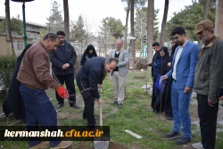 کاشت نهال در پردیس شهید توسط اعضای هیات رئیسه دانشگاه 
 6