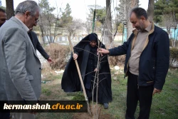 کاشت نهال در پردیس شهید توسط اعضای هیات رئیسه دانشگاه 
 7