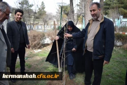 کاشت نهال در پردیس شهید توسط اعضای هیات رئیسه دانشگاه 
 8
