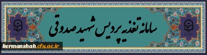 تغذیه شهید صدوقی